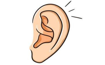 那声音在我耳边回响作文通用6篇