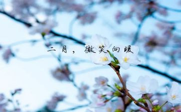 二月度工作总结及计划7篇