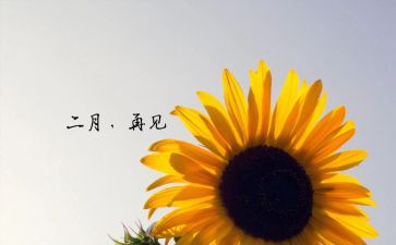 大班十二月工作总结7篇