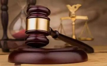爱法院心得体会最新8篇