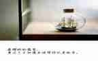 放飞青春大学生演讲稿5篇