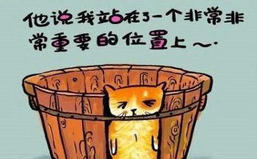 总结反思心得体会7篇