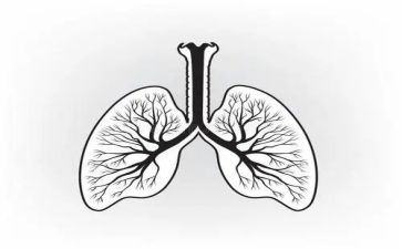 肺康复工作计划8篇