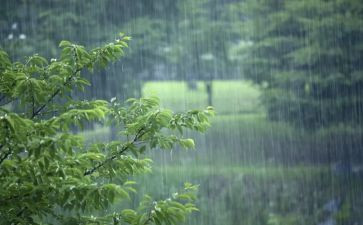 暴风雨来了作文精选6篇