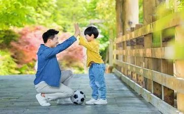 阅读父与子心得体会推荐7篇