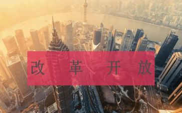 写改革的作文精选5篇
