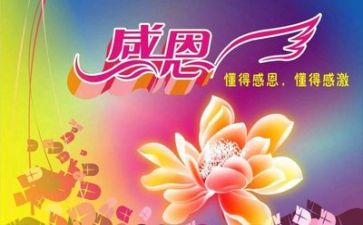感恩有我作文800字精选7篇