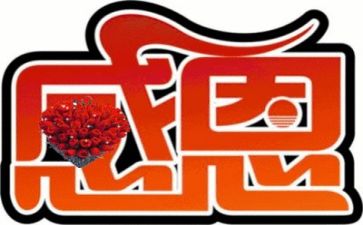 懂感恩的心得体会优秀5篇