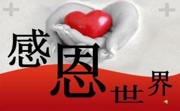 对感恩的心得体会300字5篇