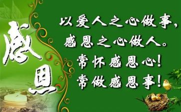 感恩的演讲稿800字5篇