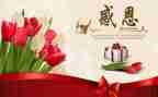关于感恩的教师演讲稿模板5篇