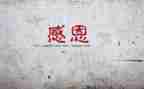感谢母亲作文最新7篇