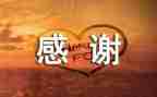 感谢老师作文500字8篇