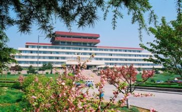 高校处级干部述职报告6篇