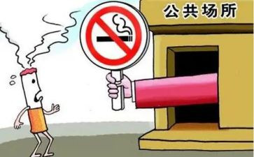 公共卫生科个人季工作总结最新5篇