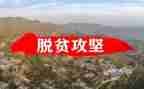 脱贫攻坚学习心得体会5篇