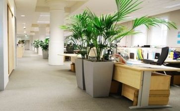 财务公司工作计划范文7篇