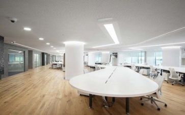 管理大公司的心得体会8篇