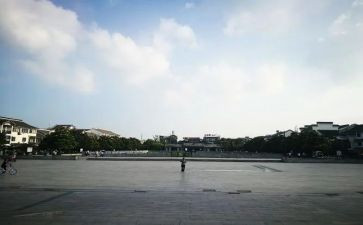 在广场的蟋蟀的读后感最新8篇