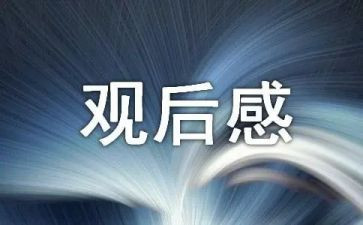 2024新学期开学典礼校长讲话观后感7篇
