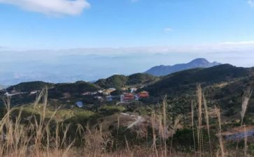 观看岭心得体会5篇