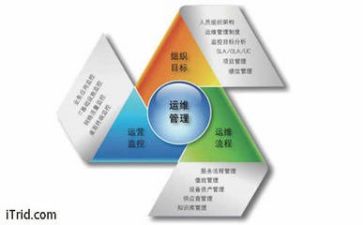 管理与自我管理心得体会最新5篇