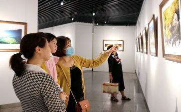 观展心得体会1500字通用7篇
