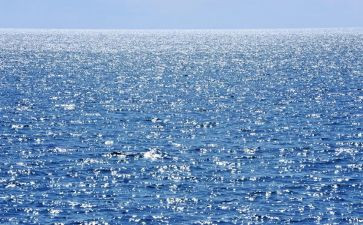 《海狼》读后感8篇