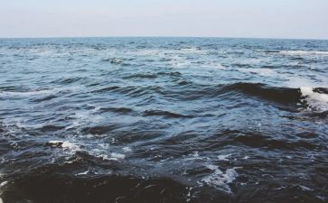 海大鱼的观后感精选6篇