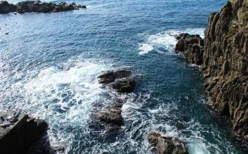 写海边的作文模板7篇