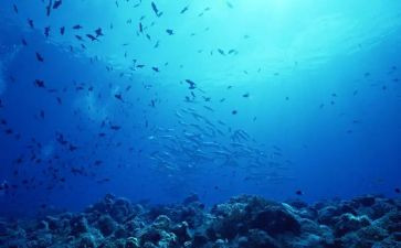 海底两万里感悟心得体会6篇