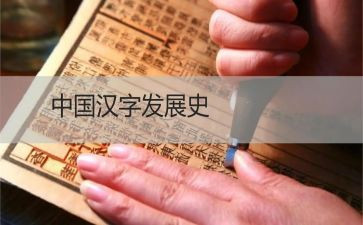 汉字王的教案7篇