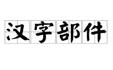 关于汉字的作文300字通用7篇