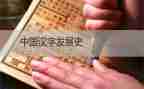 汉字王的教案7篇