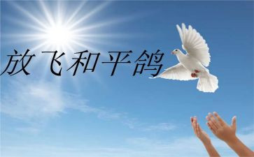 战争和平作文800字作文8篇