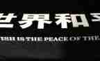 和平的作文优质8篇