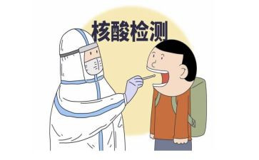 采核酸的事迹5篇