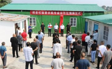 村合作社工作总结8篇