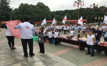 红十年度工作总结最新5篇