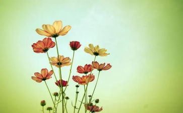 朝花夕拾读后感400字7篇
