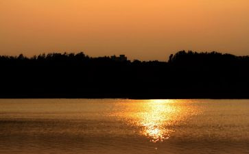 《秋天的怀念》教学反思6篇