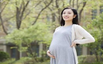 因怀孕申请书6篇