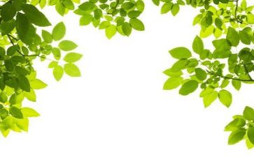环保所个人总结精选8篇