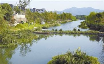 环境生态调查报告5篇