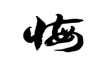 无悔青春的演讲稿优质5篇