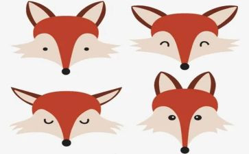 猫和狐狸读后感500字6篇