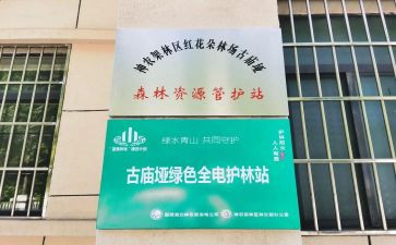 护林站工作汇报材料5篇