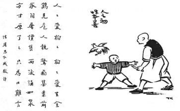 保护生态调查报告8篇