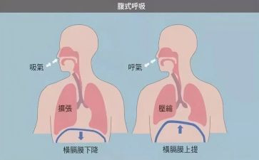 呼吸护士心得体会7篇