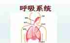 在呼吸内科的心得体会8篇